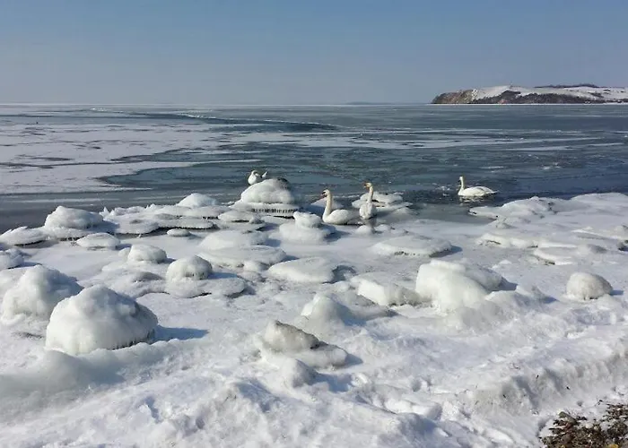 Bungalow Ferienhaus *